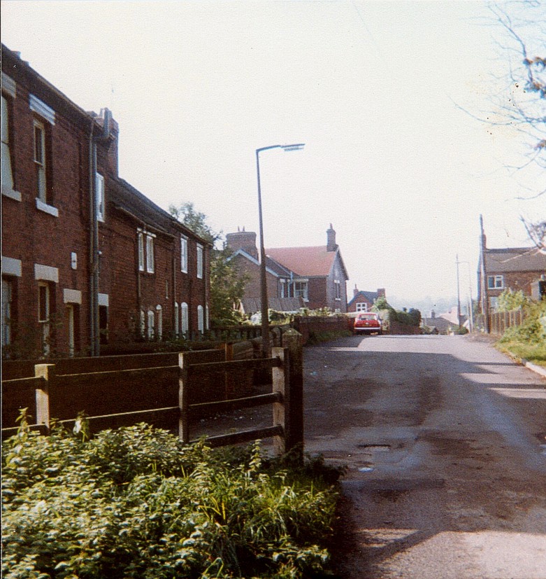 Goose Lane