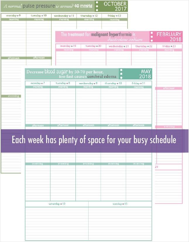 Free Printable Nurse Student Planner Template