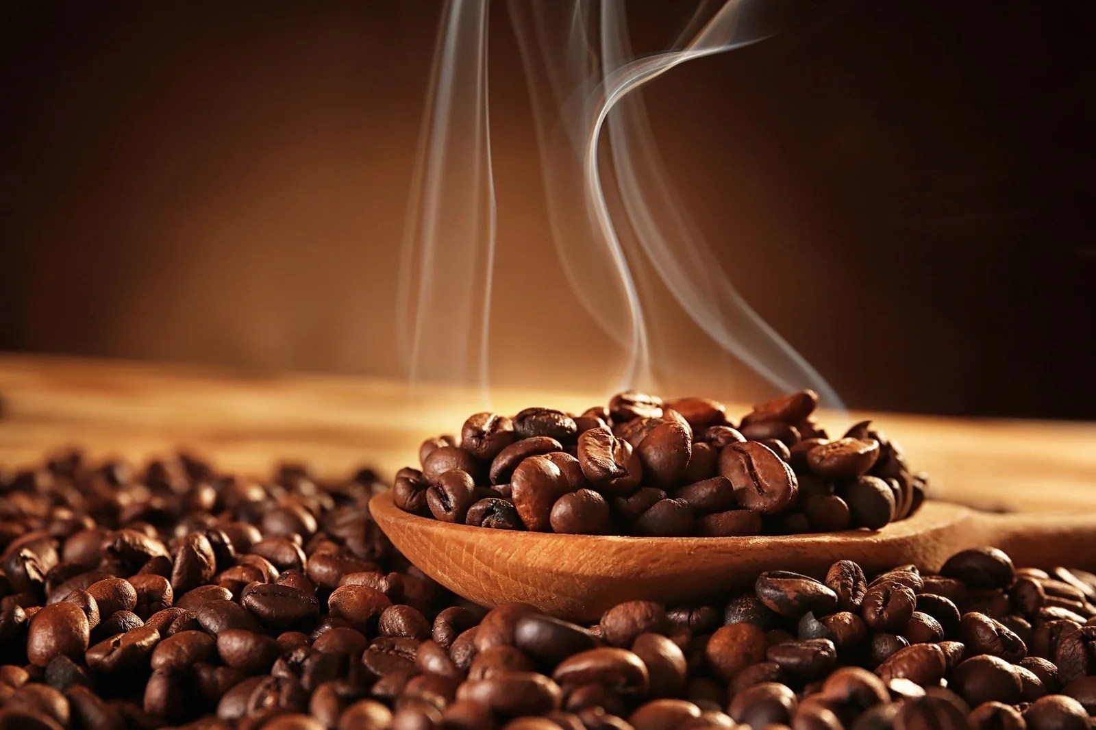 Excelsa Coffee Beans Coffee Beans PH Home of Philippines Finest Coffees