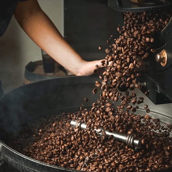 Our Coffee Coffee Beans Africa