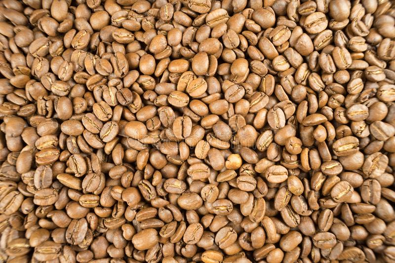 Light Roast vs. Dark Roast Coffee CoffeeBitz