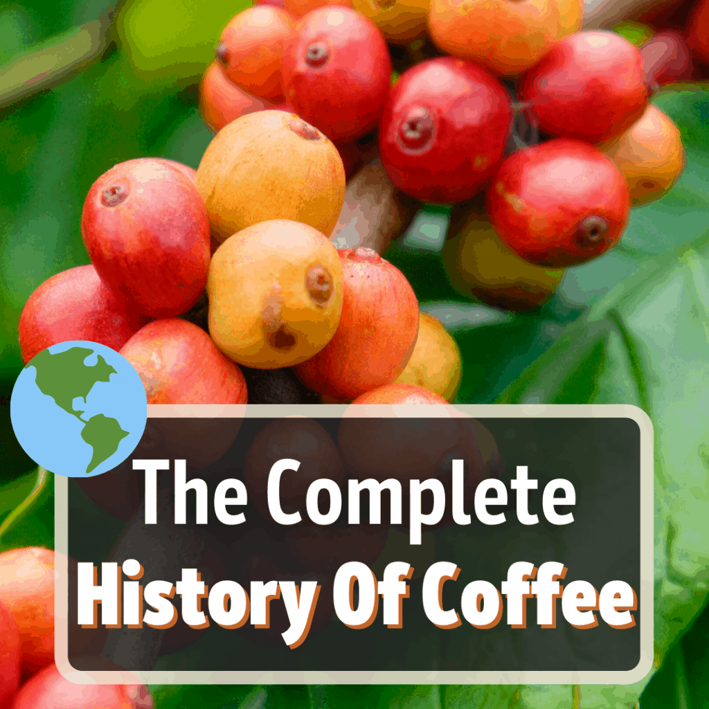 The 4 Different Types Of Coffee Beans Explained