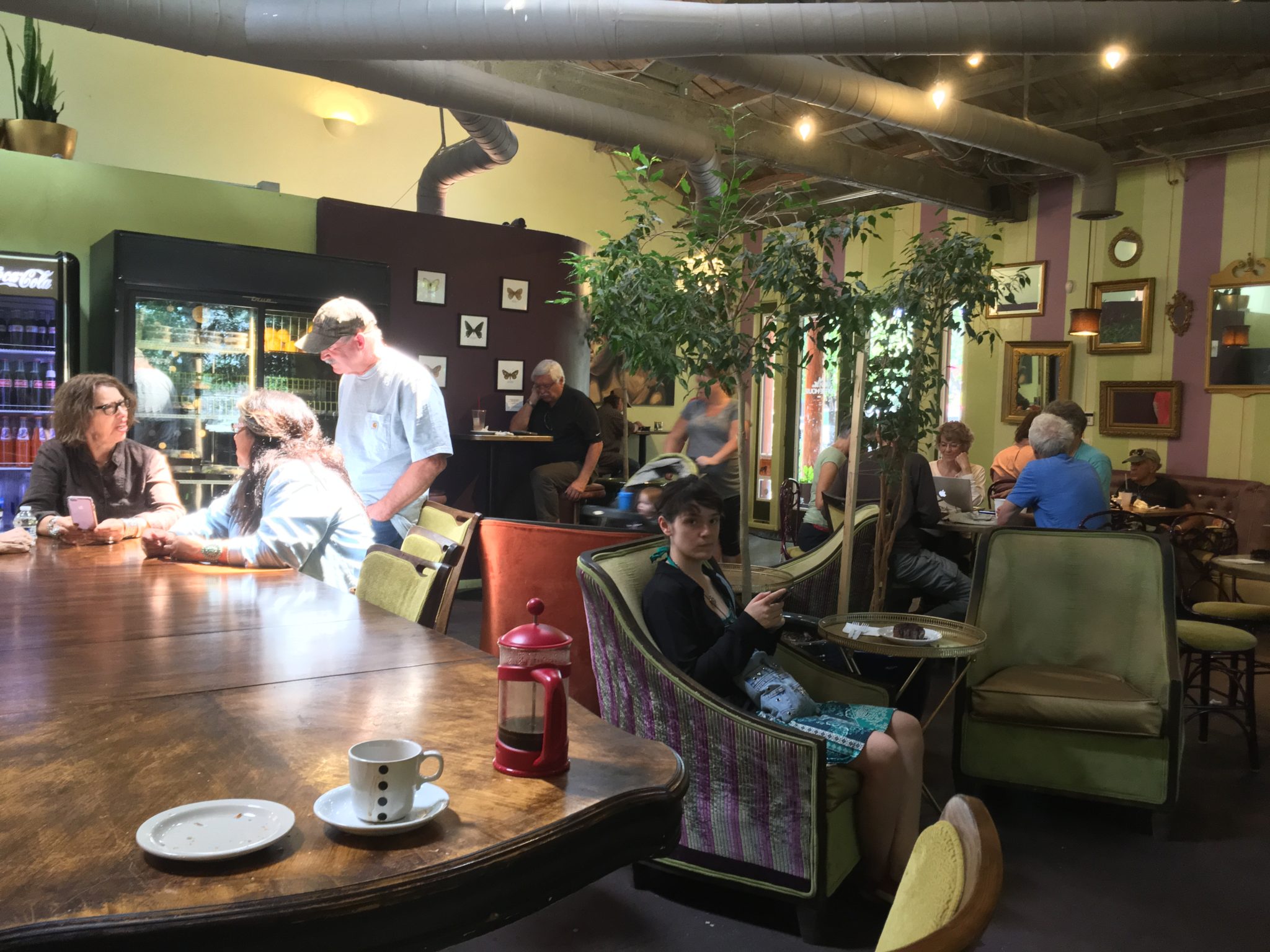 Wild Iris Coffee House, Prescott AZ star flower. Coffee Ken