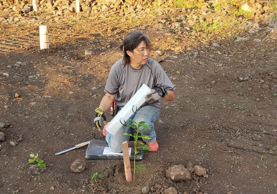 Coffee Review Considering the Top 30 Coffees of 2020