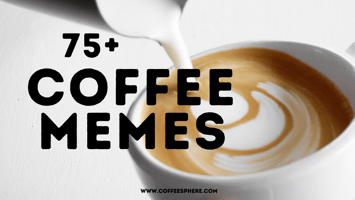 Need A Laugh? 75+ Coffee Memes For Every Occasion