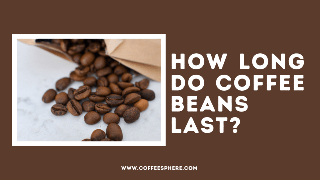 How Long Do Coffee Beans Last? CoffeeSphere