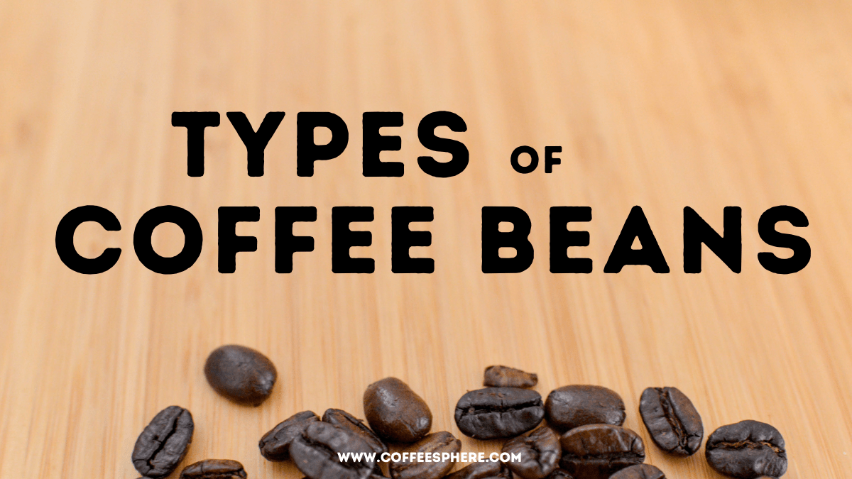 Different Types Of Coffee Beans Shop Authentic, Save 40 jlcatj.gob.mx