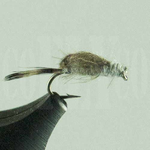 Midge Transitional Harrop Colorado Fly Company