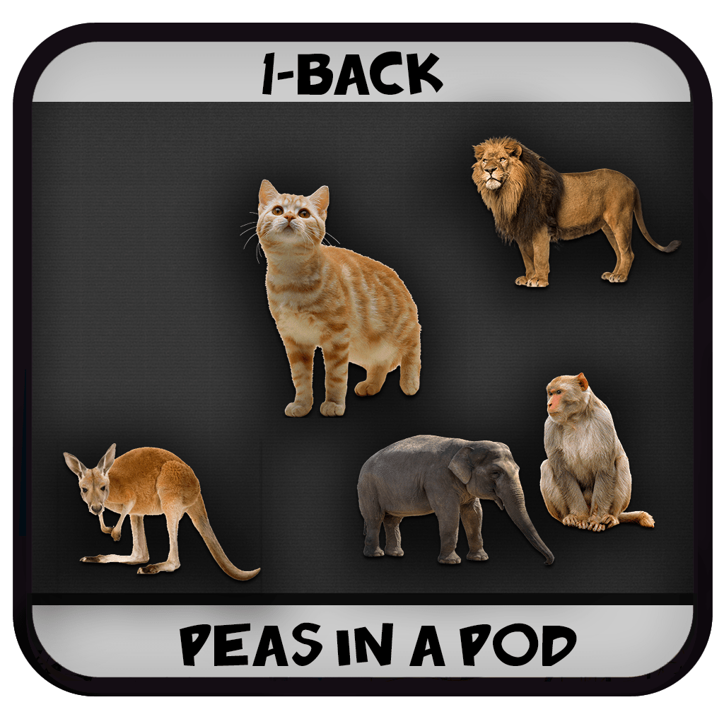 What is Processing speed?