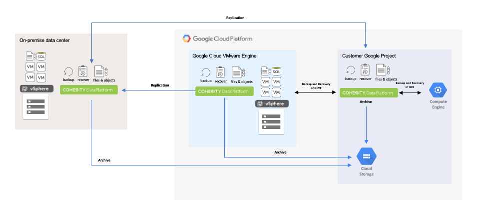 Enterprise Data Management of Google Cloud VMware Engine