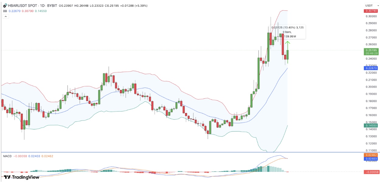 BNB Price Forecast | Source: TradingView