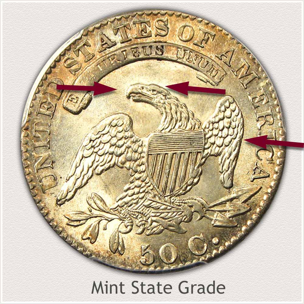 Bust Half Dollar Value Discover Their Worth