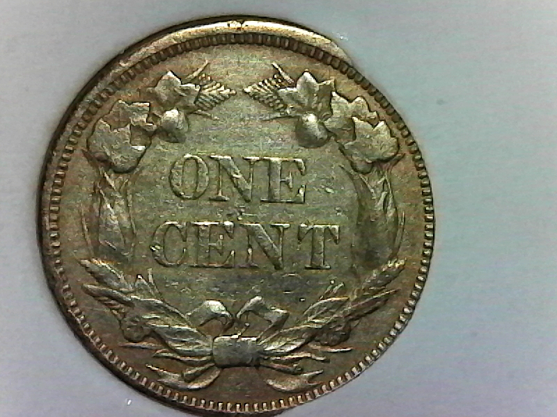 INDIAN HEAD CENTS Coin Talk