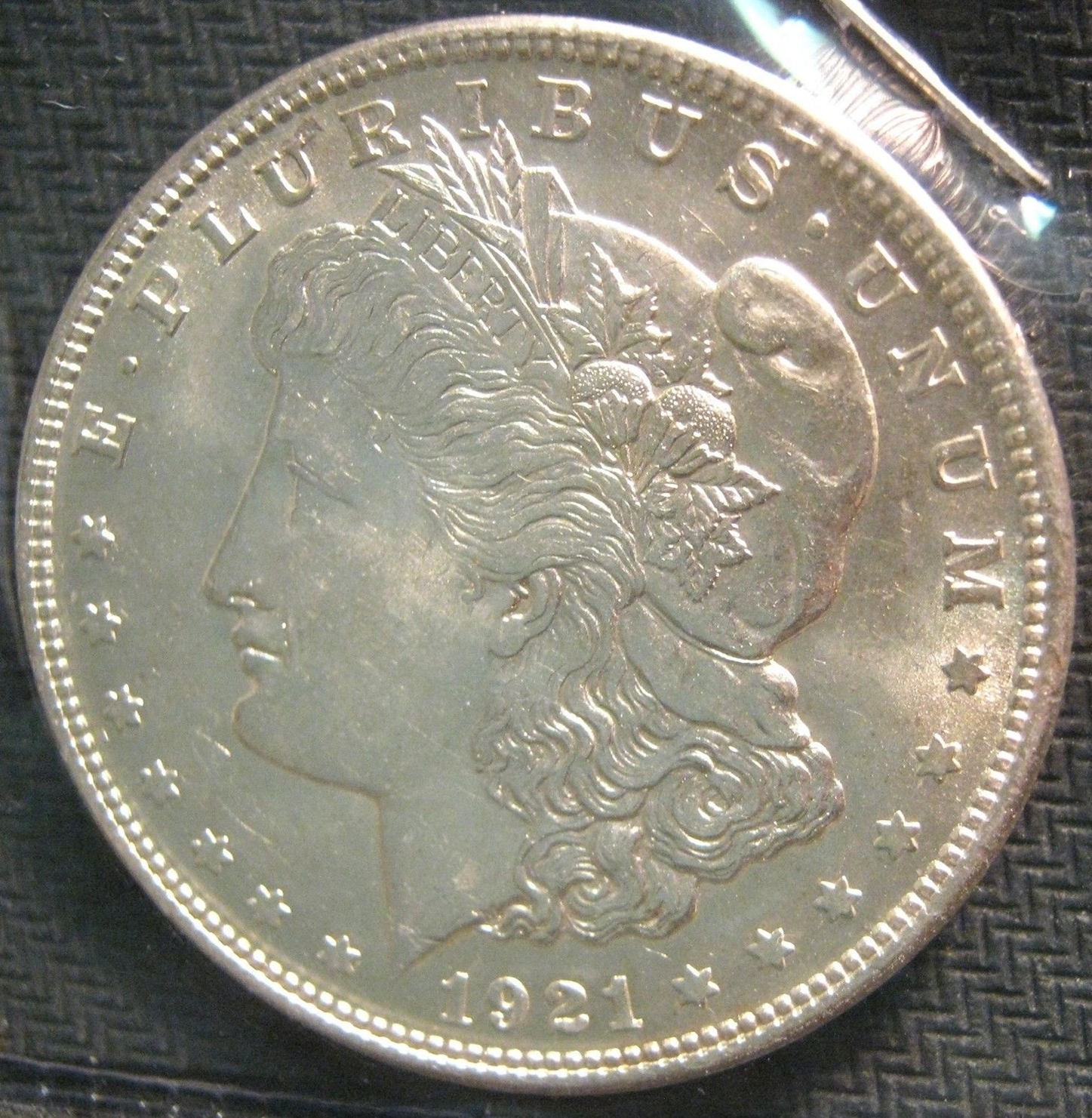 1921 Dollar Pitted Reverse Coin Talk