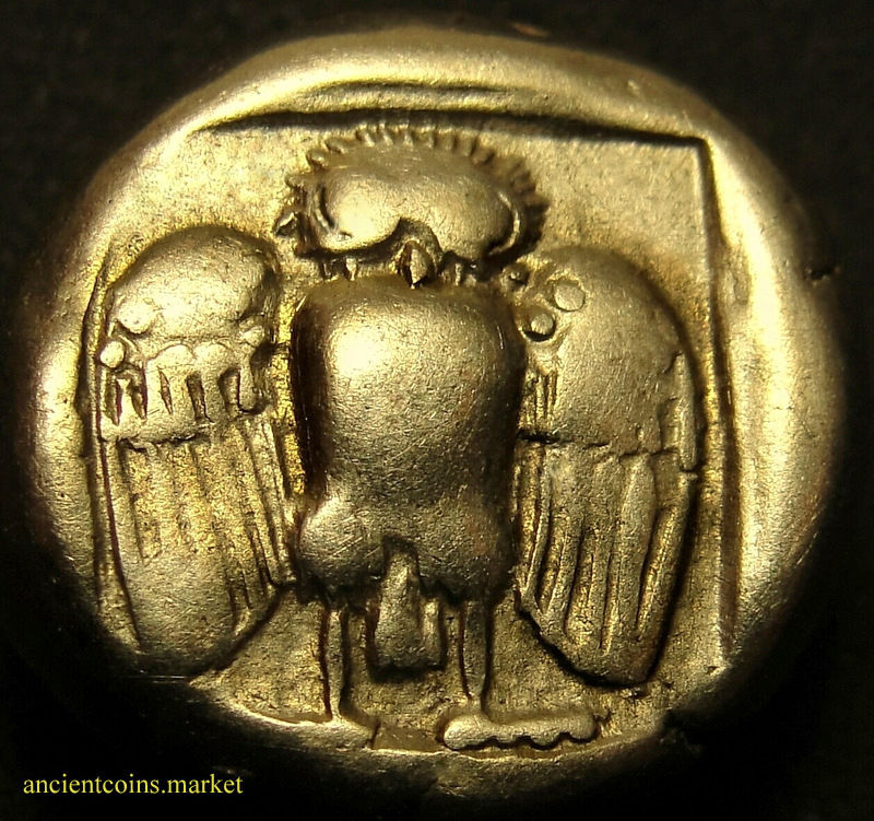 THe beauty of Owl coins in Gold and Electrum. Post your coins here
