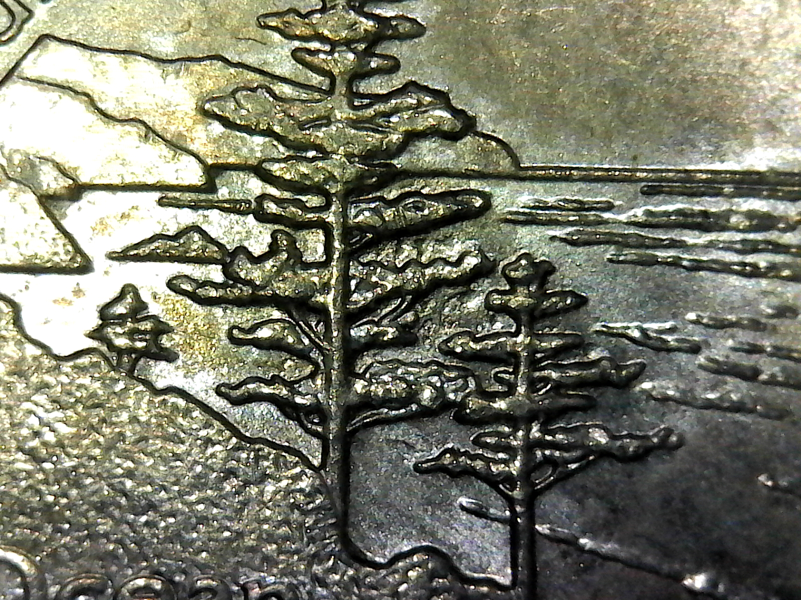 2005 ERROR nickel Lewis & Clark FIRE in TREE Coin Talk