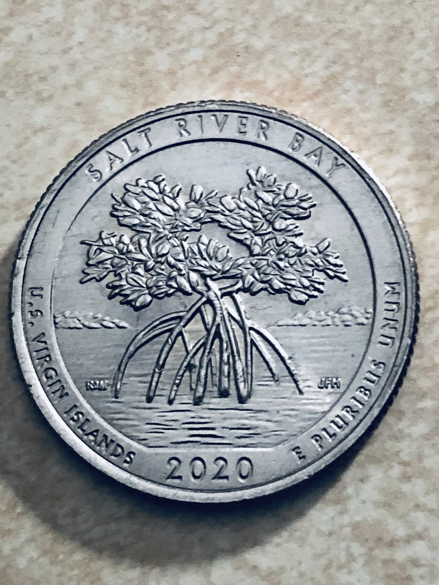 2020 D Salt River Bay Quarter Error? Coin Talk