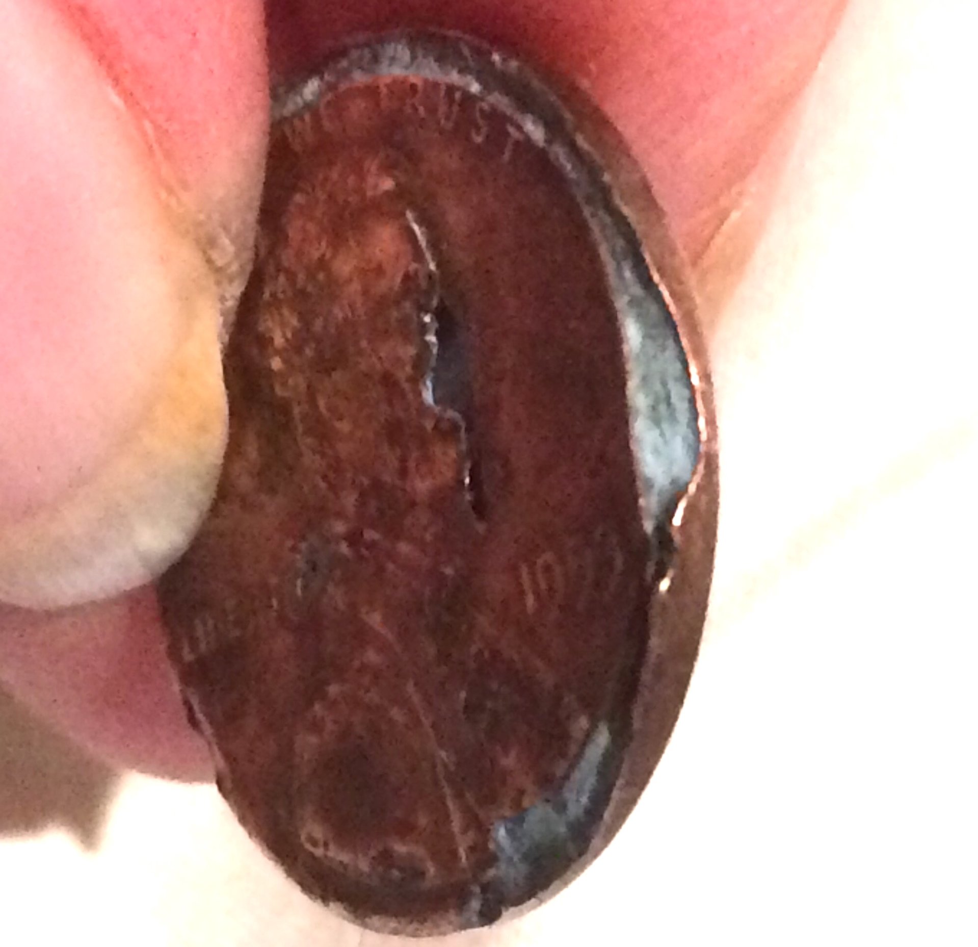 1993 penny lamination error? Coin Talk