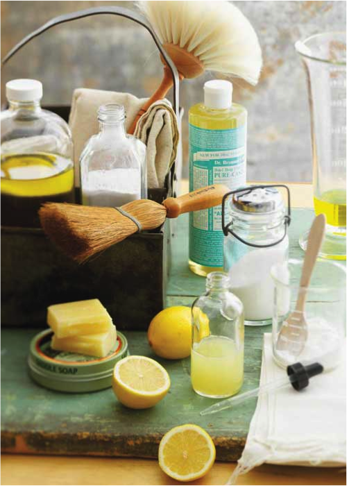 How to Deep Green Clean Your Carpets COIT