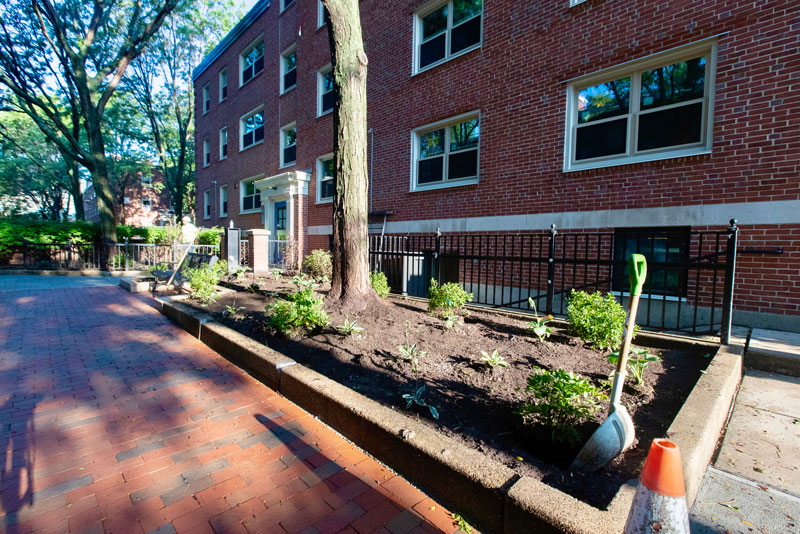 Roosevelt Towers LowRise Modernization Colantonio