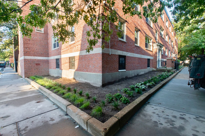 Roosevelt Towers LowRise Modernization Colantonio