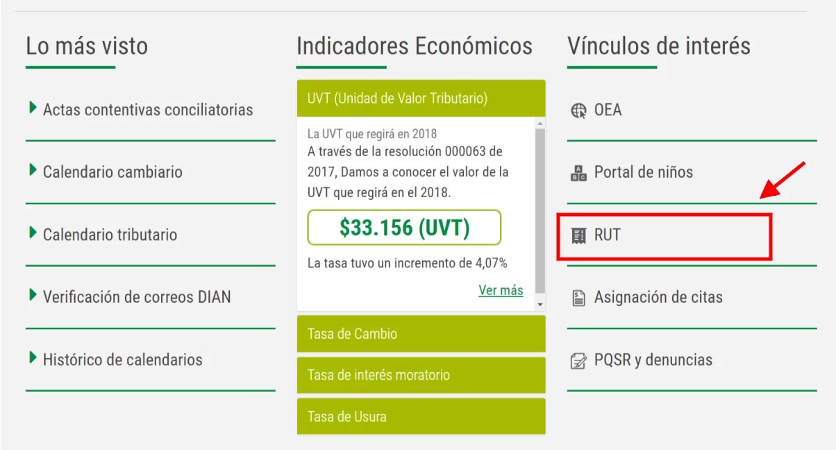 Registro Único Tributario (RUT) por Guía paso a paso
