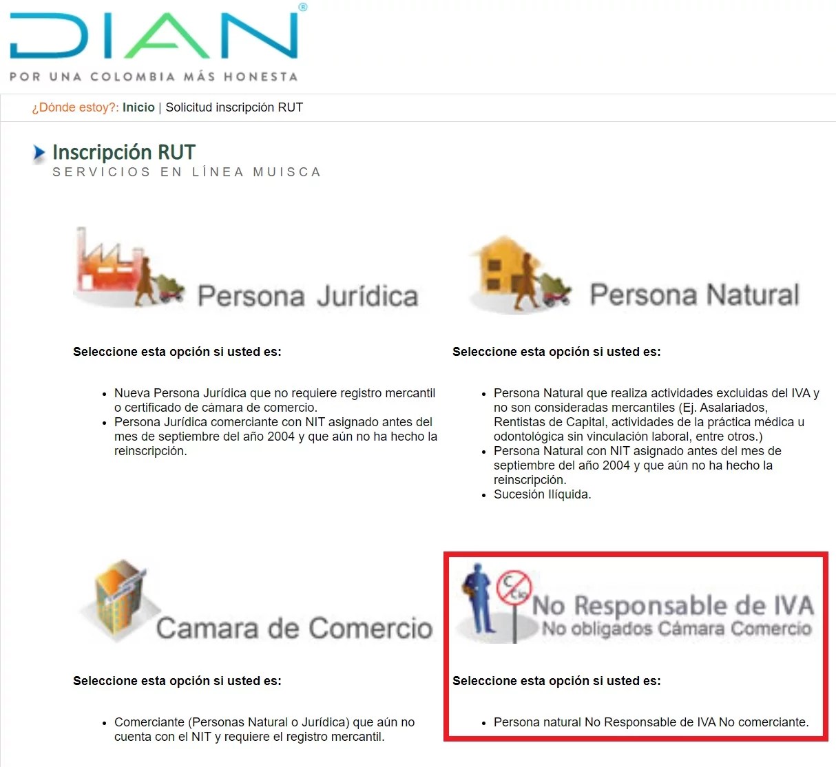 Registro Único Tributario (RUT) por Guía paso a paso