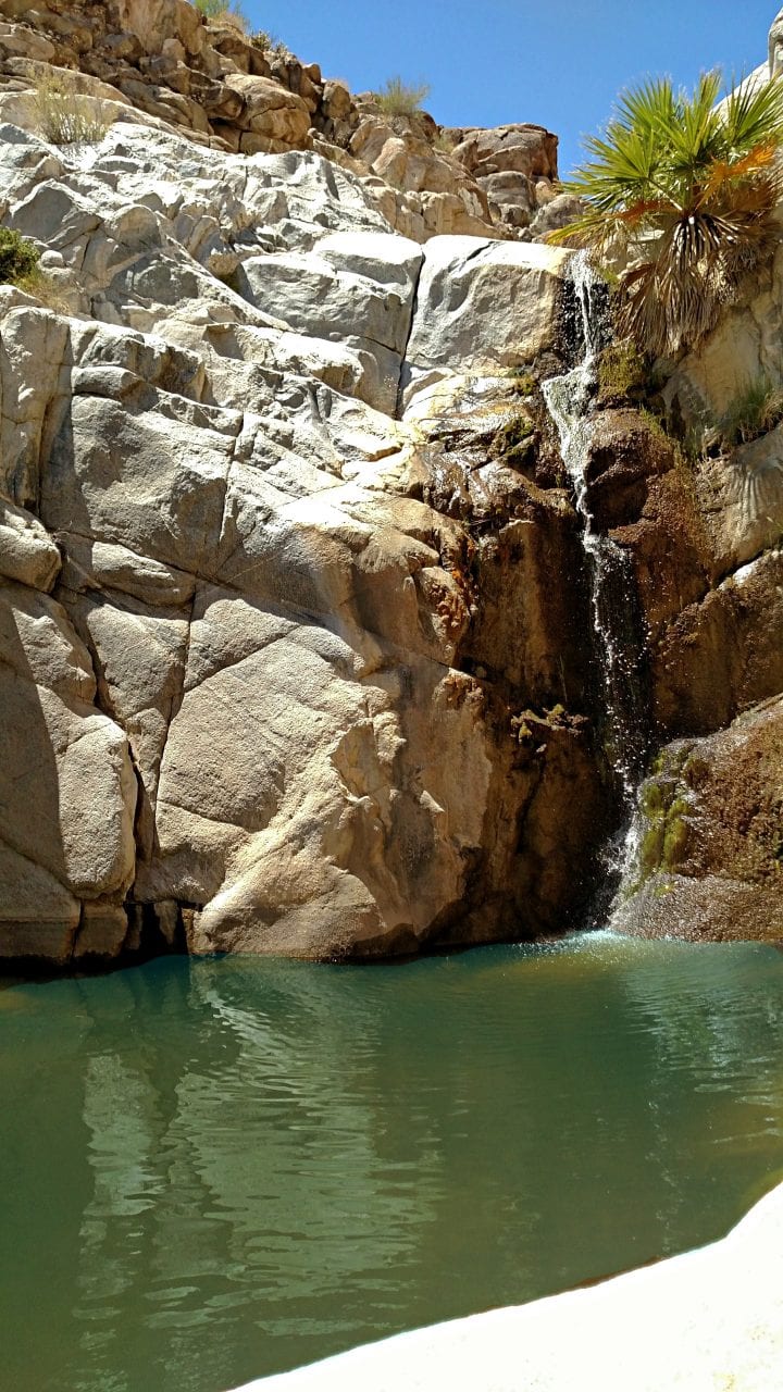 Guadalupe Canyon Hot Springs The Most Unique Camping in Baja