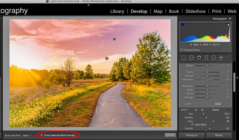 Simple Tips for Using the Lightroom Adjustment Brush Tool