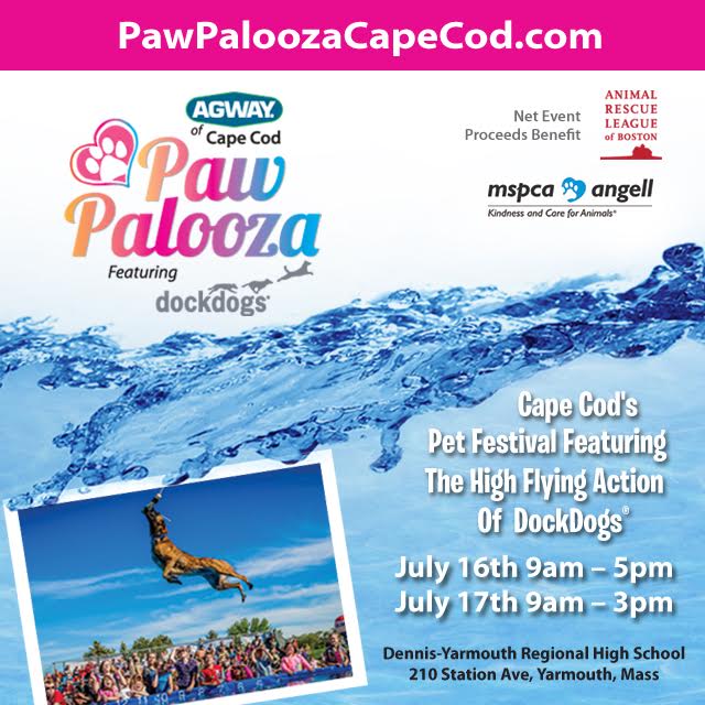 pawpaloozacapecod Cape Cod Web Design and Development