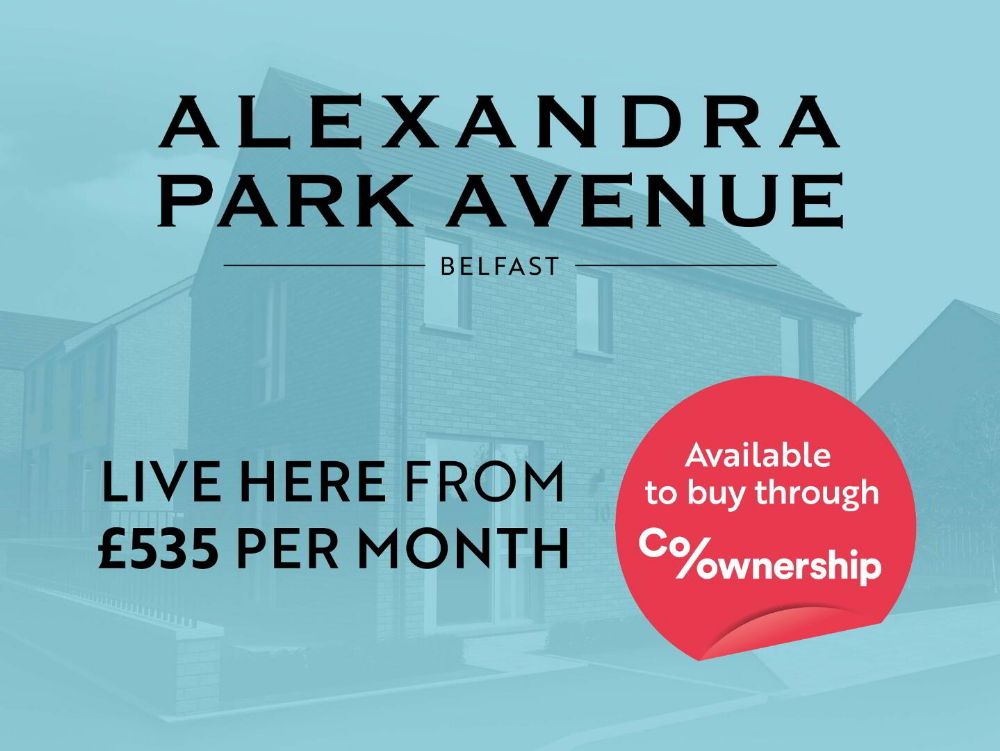 6ix Alexandra Park Avenue Alexandra Park Avenue, Alexandra Park