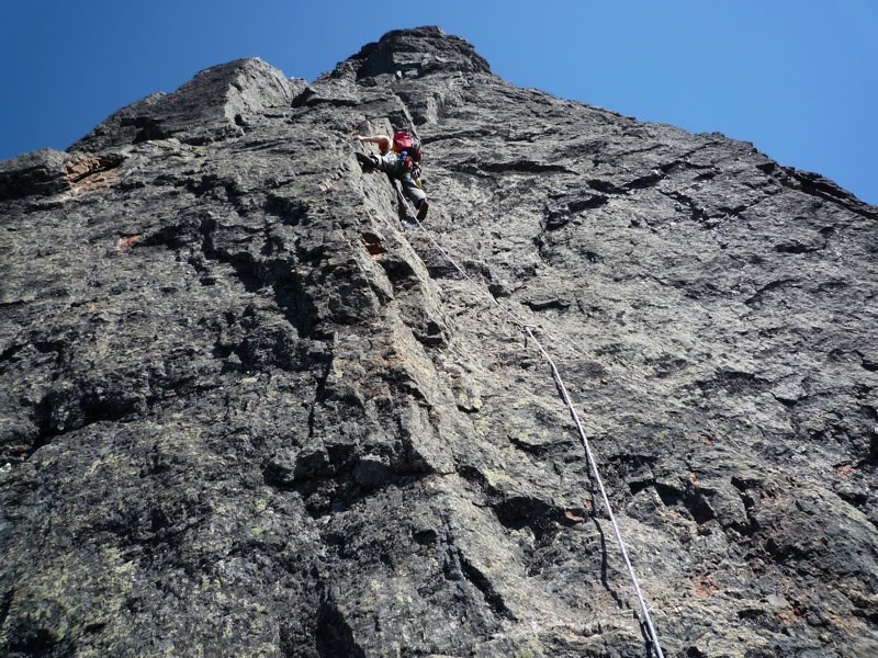 Tahoma Ski Descent and North Rib of Slesse Skagit Alpinism