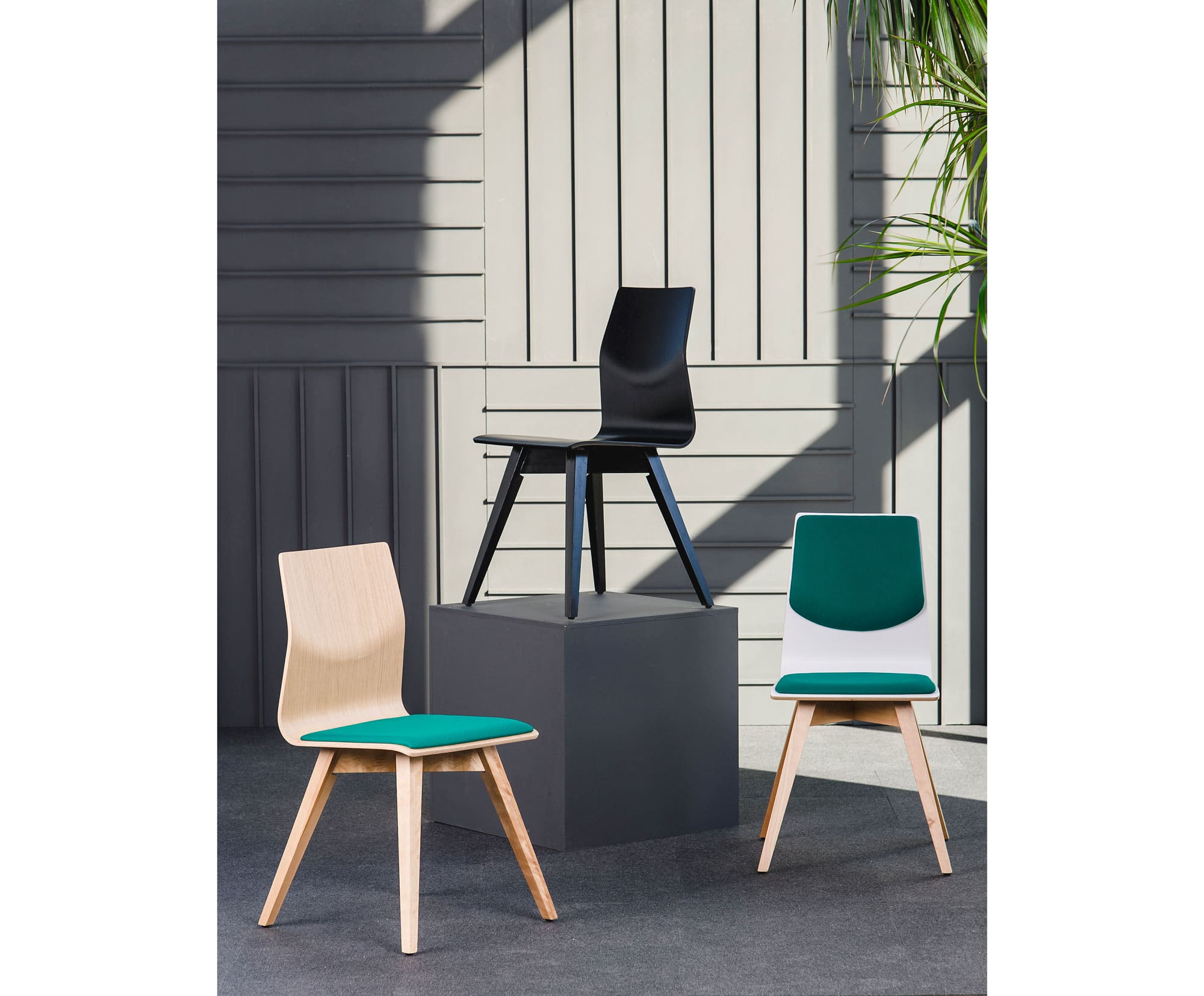 Zoa Wood Veneer Chair