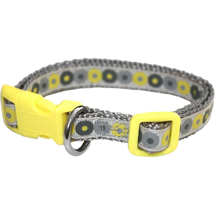 Little Rascals Puppy Collar & Lead Set Collared