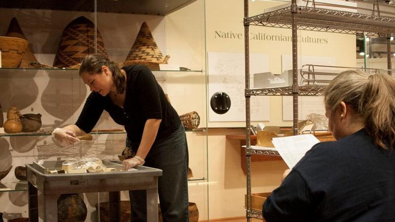 The 50 Most Amazing College Museums College Rank
