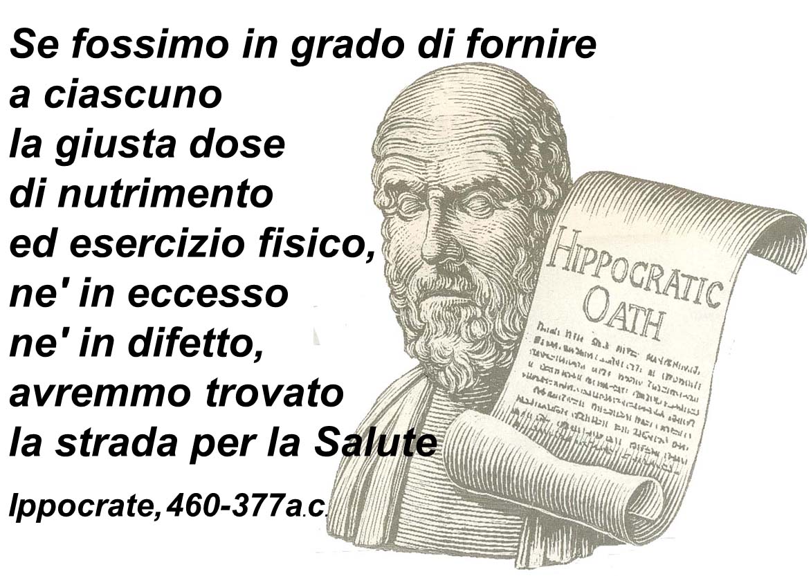L'olio d'oliva nelle cure di Ippocrate Colline di Zenone