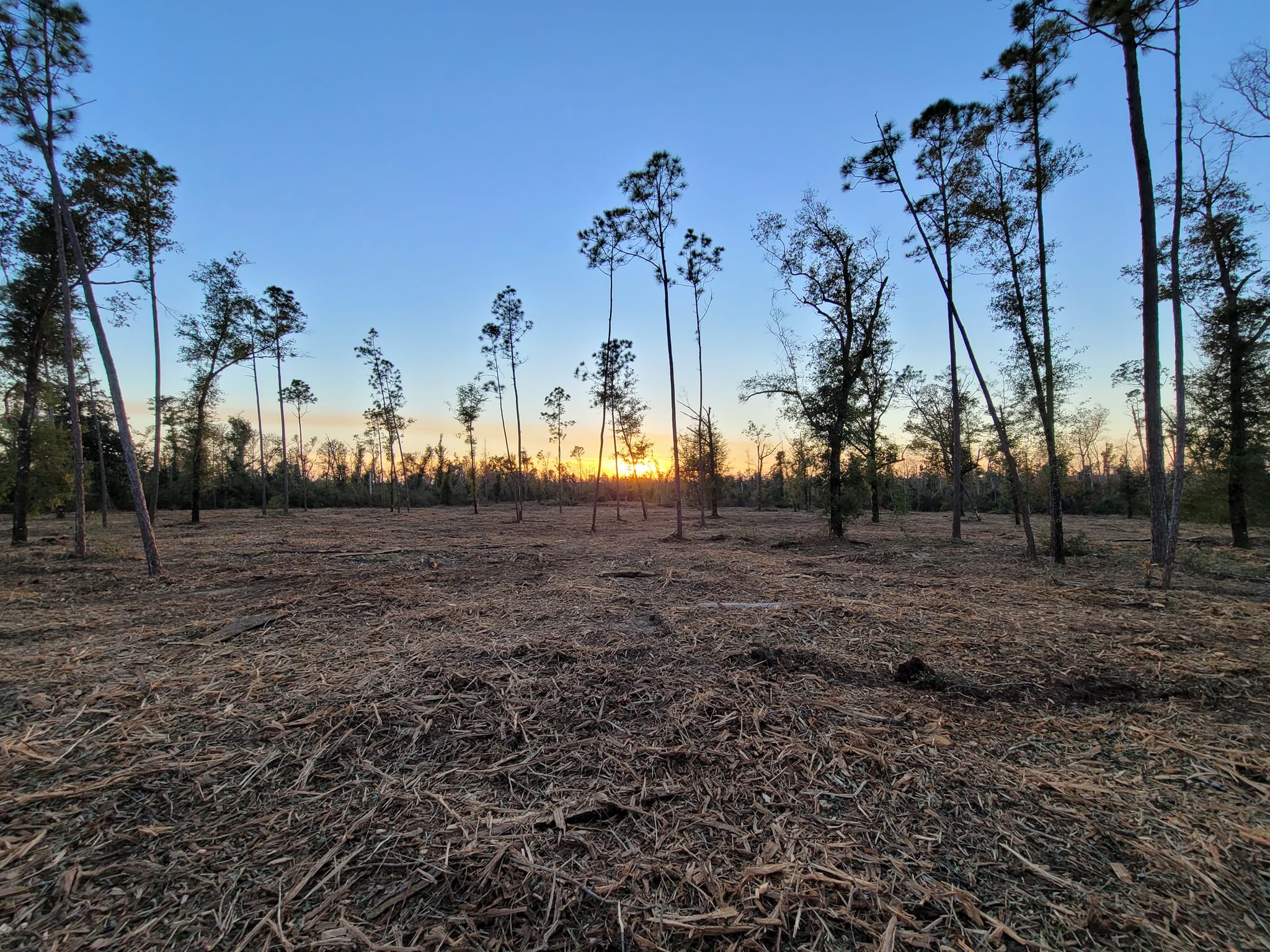 Services Collins Land Services, Inc.