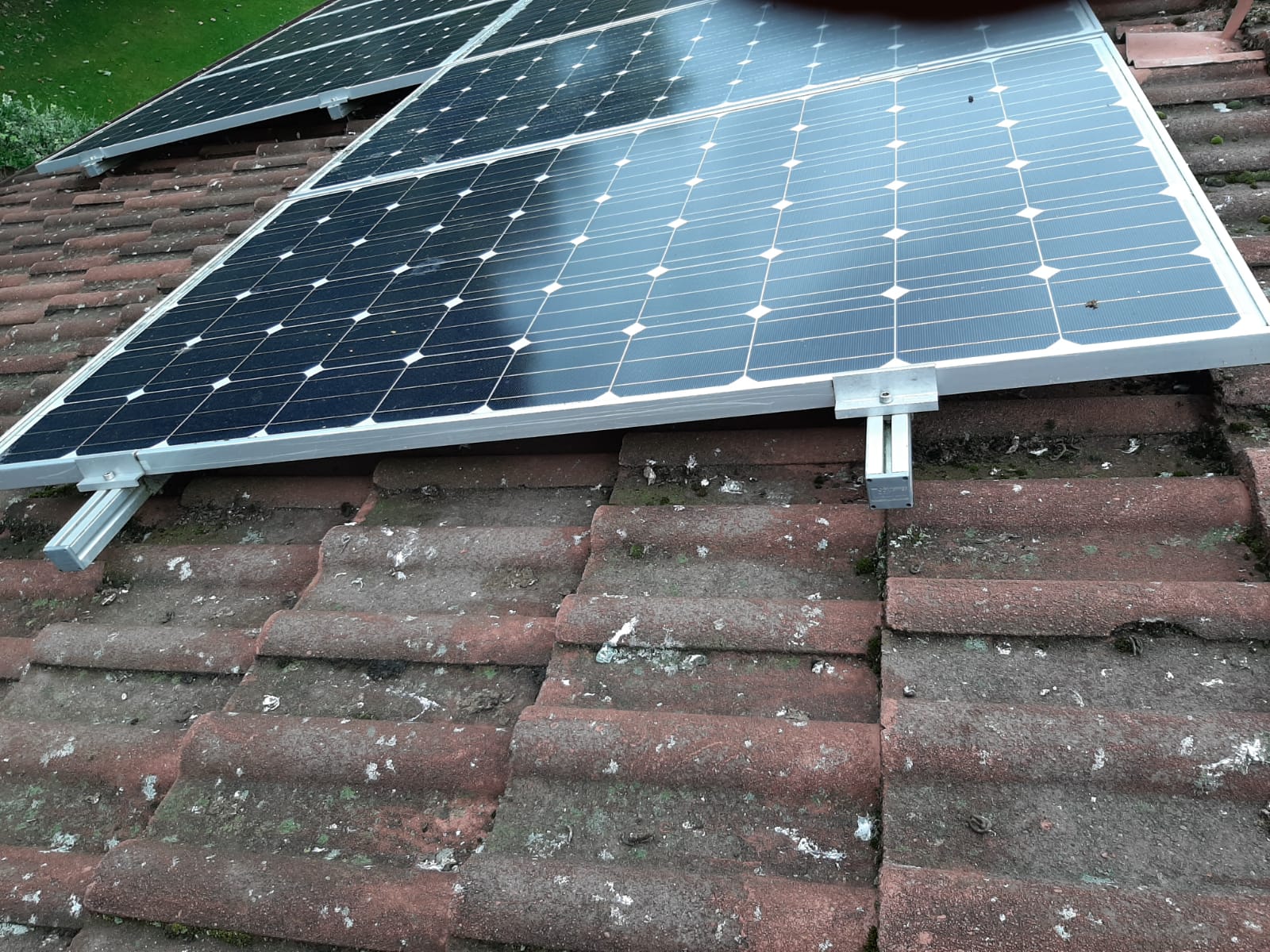 Pigeons Under Solar Panels Edinburgh Bird Proofing Edinburgh