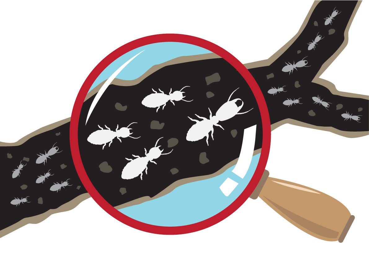 How Do Termite Bait Stations Work? Colonial Pest Control