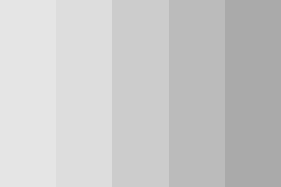 Blank slate* Color Palette