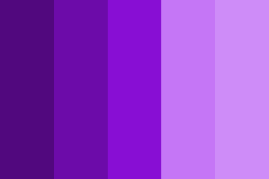 Indigo Bright Lilac Color Palette