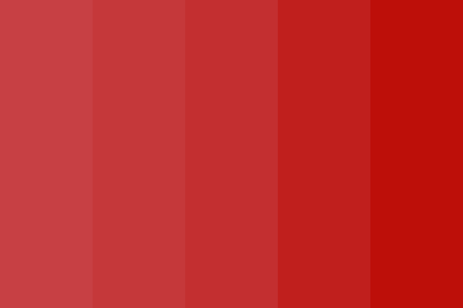 Search and Rescue Color Palette