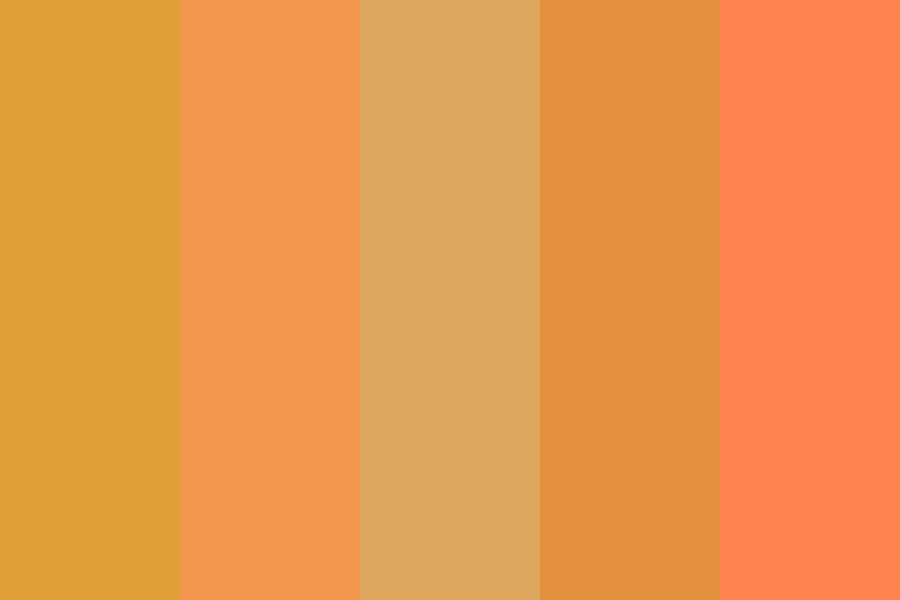 1st Spanish MidTerm Color Palette