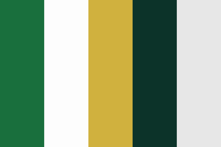Sport Colors Color Palette
