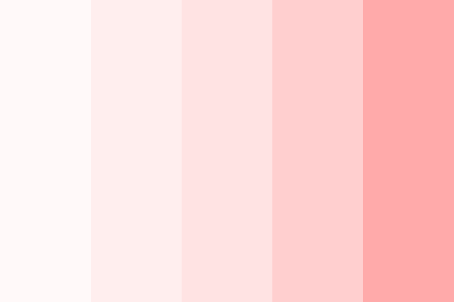 Blush Pink Color Palette