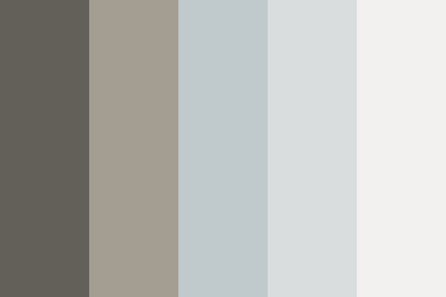 Blue Eyes Gray Skies Color Palette