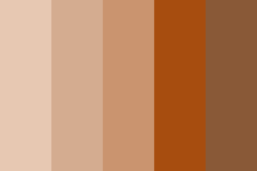 Nude Orange Color Palette
