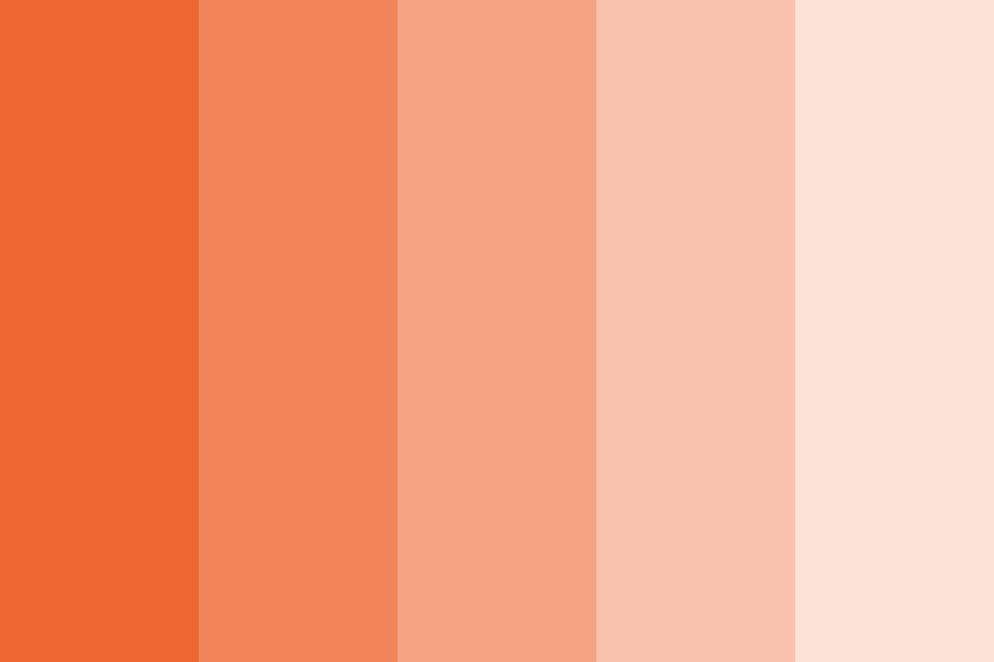 Basketball Color Palette