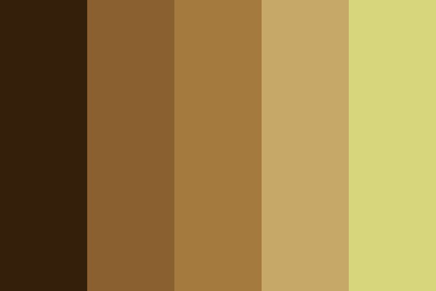 Hair Colors Color Palette