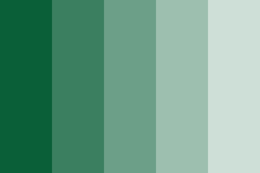 Spruce Color Palette